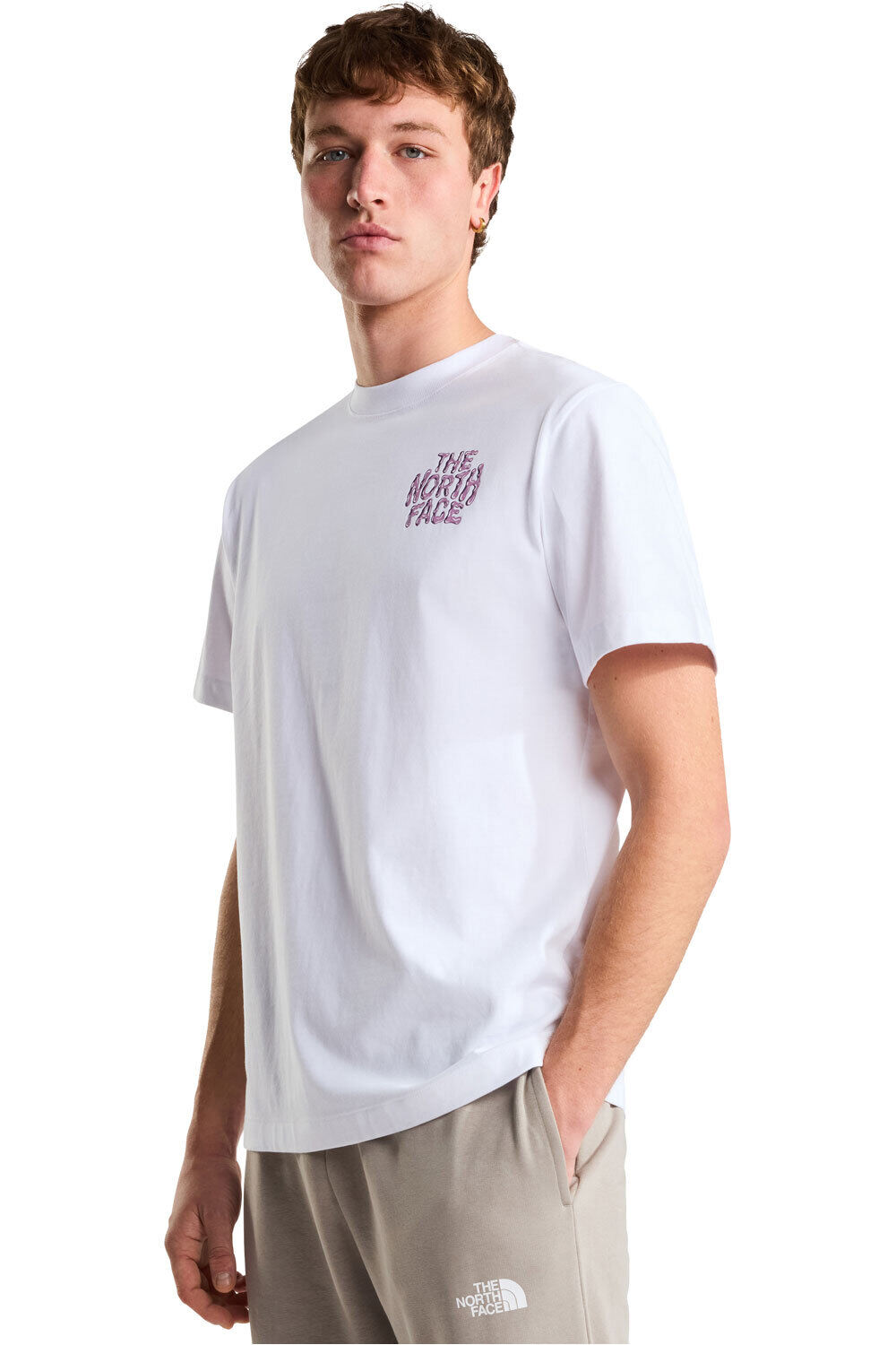 The North Face camiseta montaña manga corta hombre M DRIP LOGO RELAXED SHORT SLEEVE TEE-GRA vista frontal