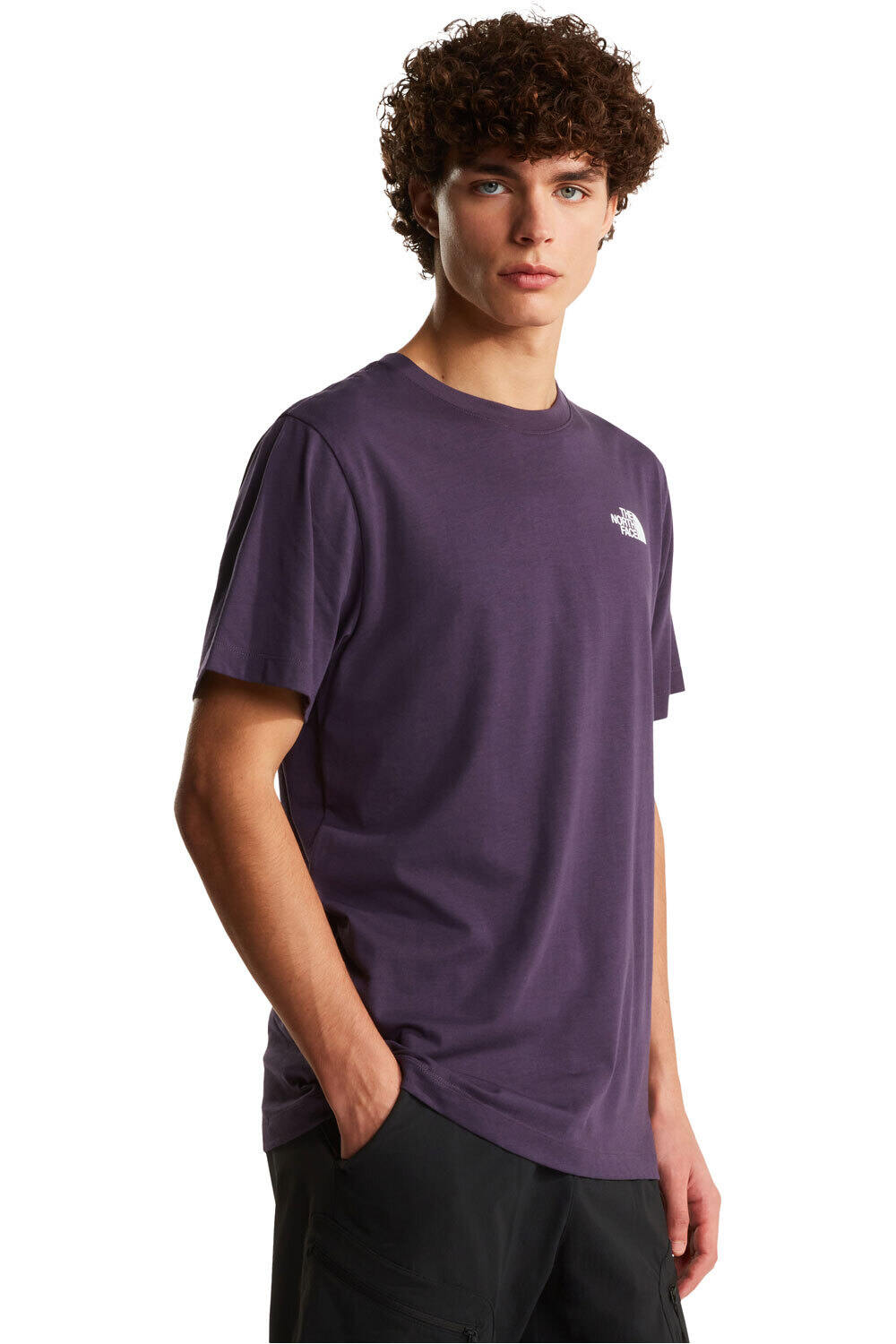 The North Face camiseta montaña manga corta hombre M EVOLUTION BOX NSE REGULAR SHORT SLEEVE vista frontal