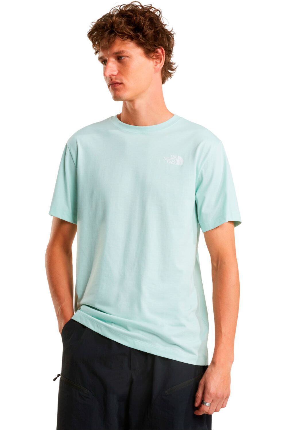 The North Face camiseta montaña manga corta hombre M EVOLUTION BOX NSE REGULAR SHORT SLEEVE vista frontal