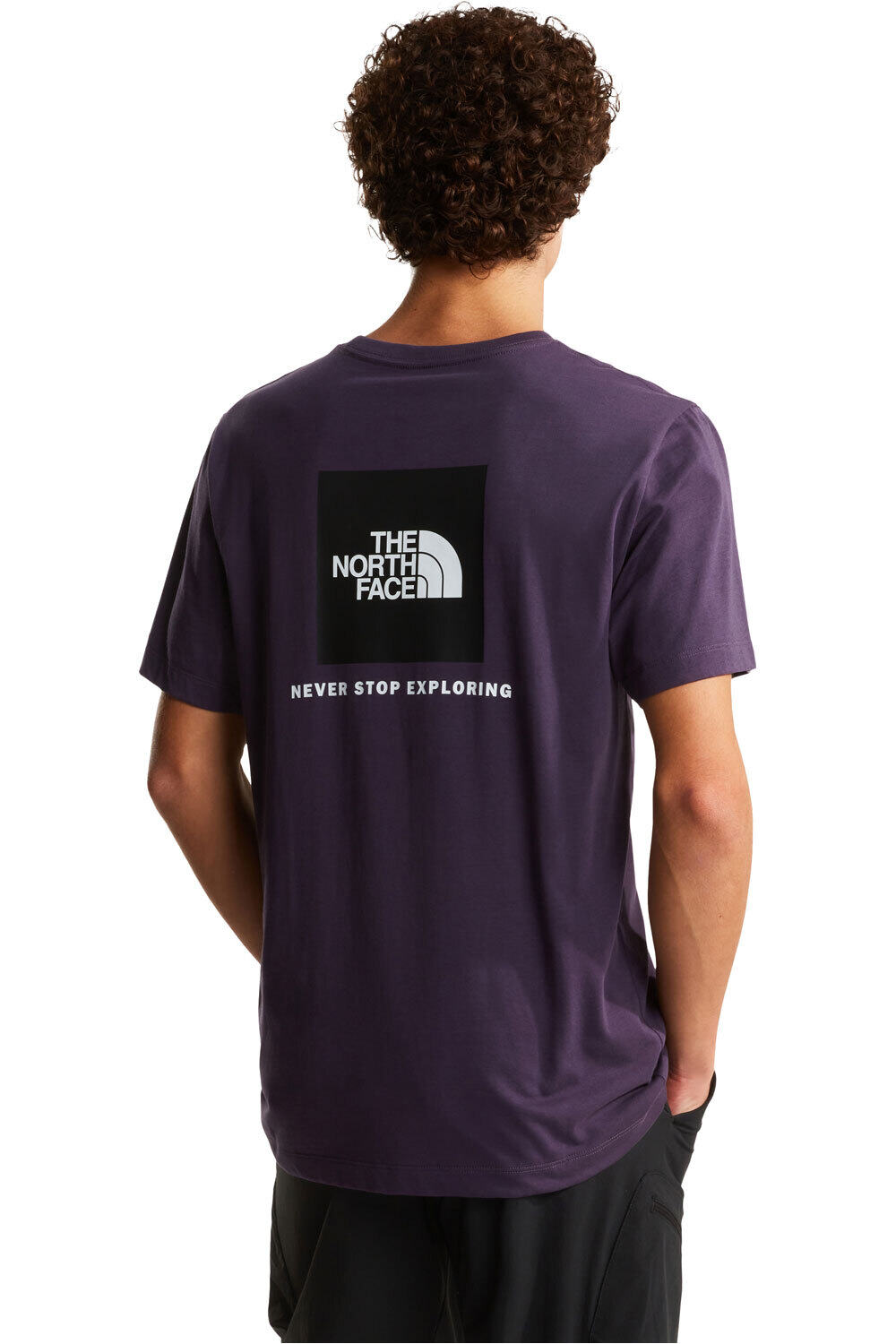 The North Face camiseta montaña manga corta hombre M EVOLUTION BOX NSE REGULAR SHORT SLEEVE vista trasera