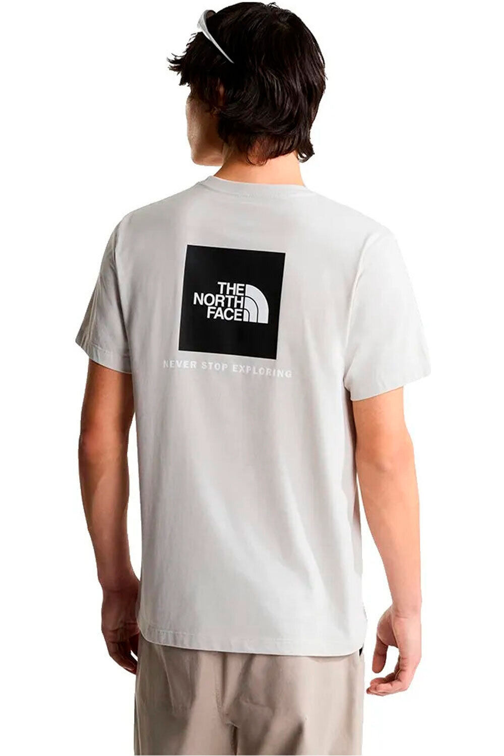 The North Face camiseta montaña manga corta hombre M EVOLUTION BOX NSE REGULAR SHORT SLEEVE vista trasera