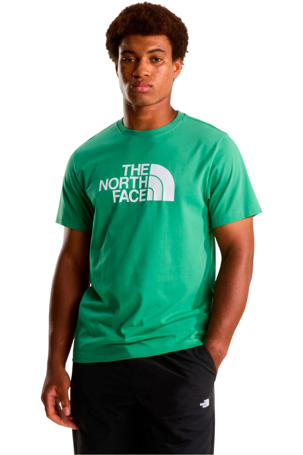 The North Face camiseta montaña manga corta hombre M EVOLUTION HALF DOME REGULAR SHORT SLEE vista frontal