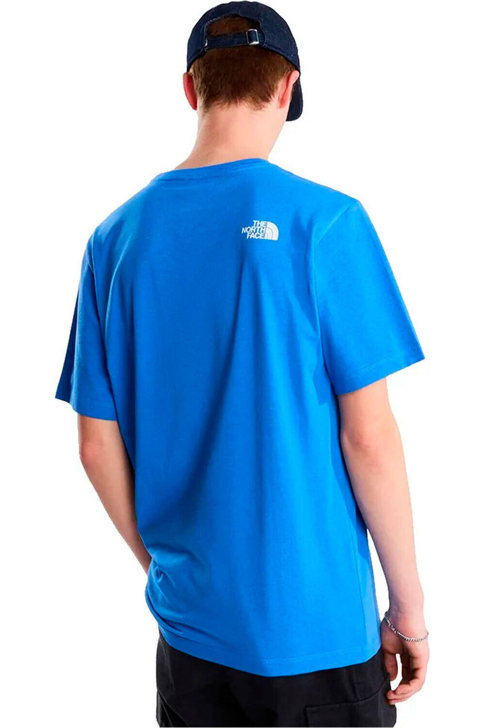 The North Face camiseta montaña manga corta hombre M EVOLUTION HALF DOME REGULAR SHORT SLEE vista trasera
