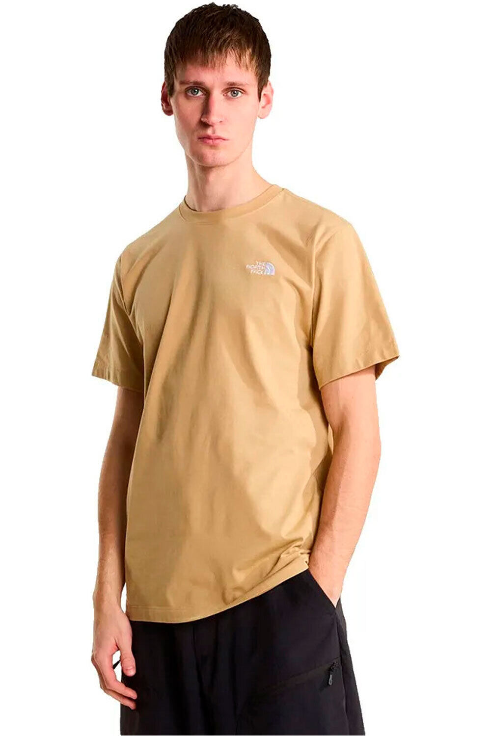 The North Face camiseta montaña manga corta hombre M EVOLUTION SIMPLE DOME REGULAR SHORT SL vista frontal