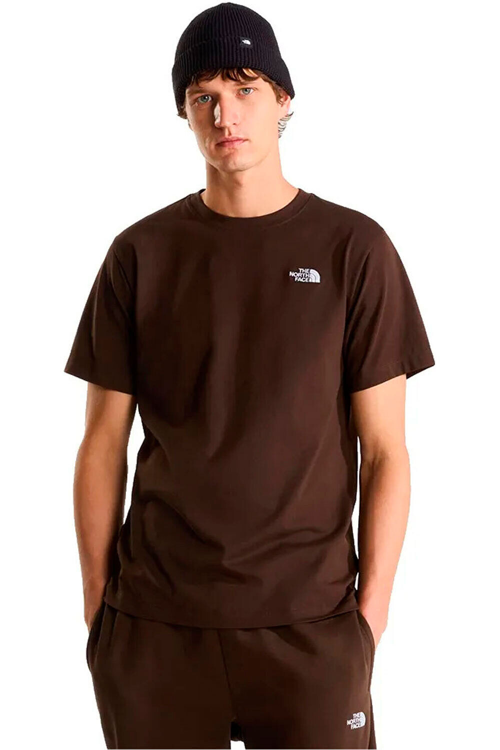 The North Face camiseta montaña manga corta hombre M EVOLUTION SIMPLE DOME REGULAR SHORT SL vista frontal