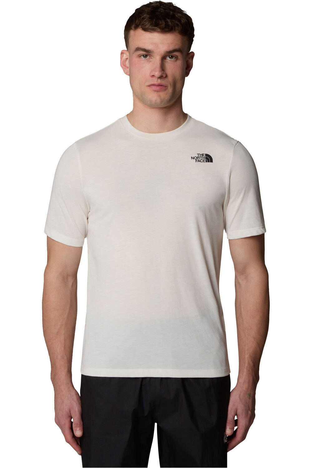 The North Face camiseta montaña manga corta hombre M FOUNDATION MOUNTAINS FACES TEE vista frontal