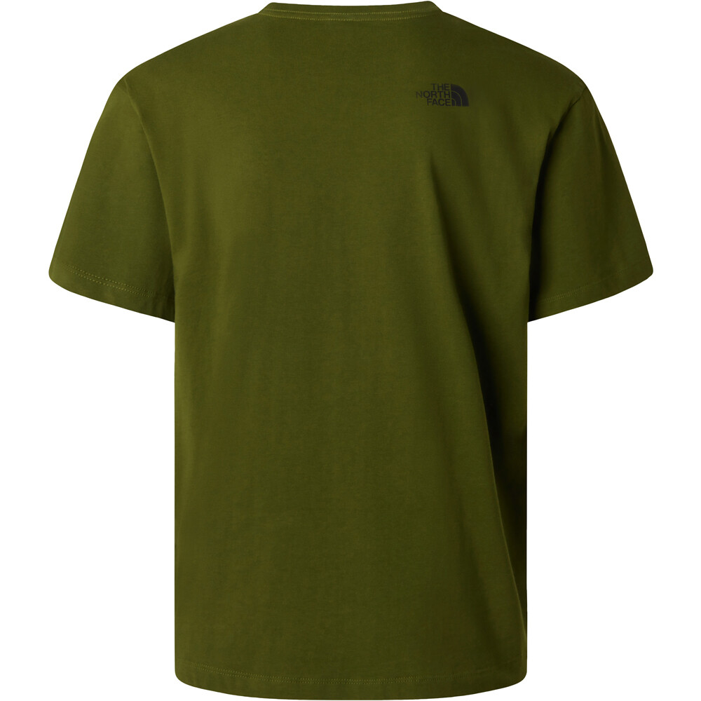 The North Face camiseta montaña manga corta hombre M MOUNTAIN LOGO RELAXED SHORT SLEEVE TEE 04