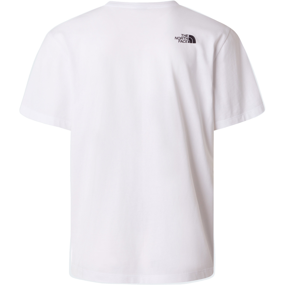 The North Face camiseta montaña manga corta hombre M MOUNTAIN LOGO RLX SS TEE-GRAPHIC 03