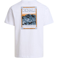 The North Face camiseta montaña manga corta hombre M NORTH FACES REG SS TEE-GRAPHIC vista detalle