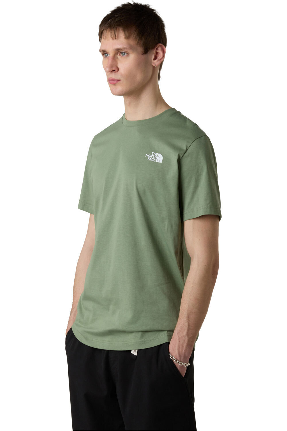 The North Face camiseta montaña manga corta hombre M SS BOX NSE CELEBRATION TEE vista frontal