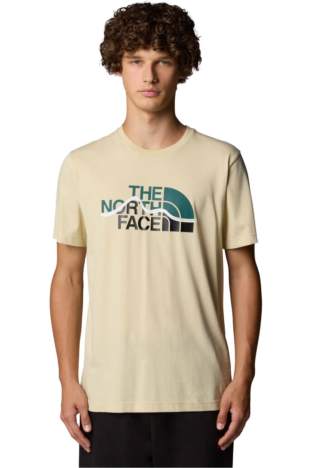 The North Face camiseta montaña manga corta hombre M S/S MOUNTAIN LINE TEE vista frontal