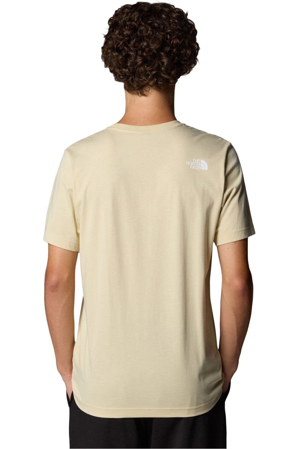 The North Face camiseta montaña manga corta hombre M S/S MOUNTAIN LINE TEE vista trasera