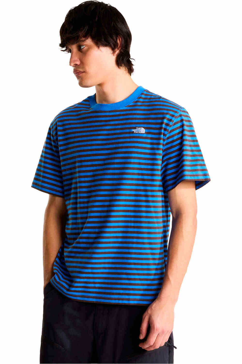 The North Face camiseta montaña manga corta hombre M VISTA STRIPE SHORT SLEEVE TEE vista frontal