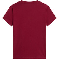 The North Face camiseta montaña manga corta mujer W EVOLUTION SIMPLE DOME SLM SHORT SLEEVE 03