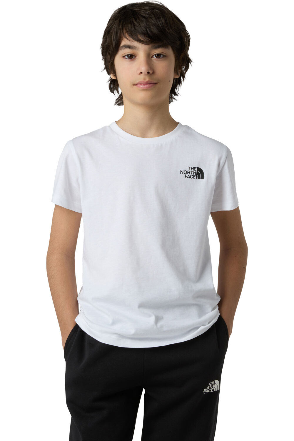 The North Face camiseta montaña manga corta niño TEEN BOX NSE REGULAR SS TEE vista frontal