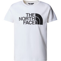The North Face camiseta montaña manga corta niño TEEN EASY REGULAR SS TEE vista detalle