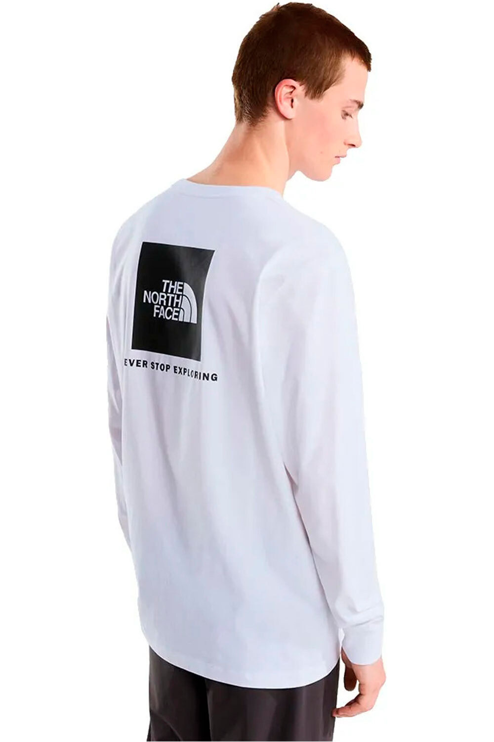The North Face camiseta montaña manga larga hombre M EVOLUTION BOX NSE REGULAR LONG SLEEVE vista trasera