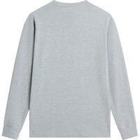 The North Face camiseta montaña manga larga hombre M EVOLUTION SIMPLE DOME REGULAR LONG SLE 03