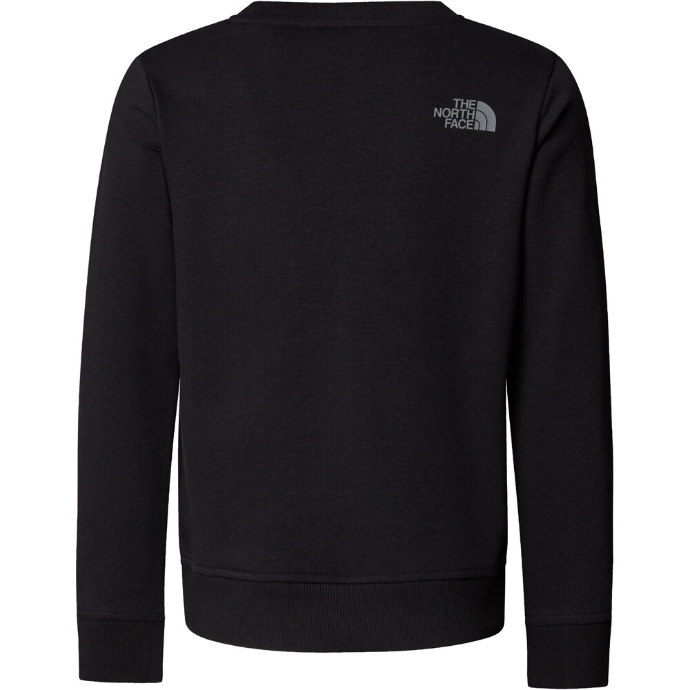 The North Face camiseta montaña manga larga niño B DREW PEAK LIGHT CREW 03