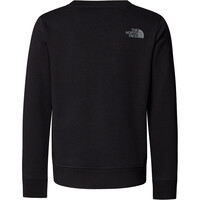 The North Face camiseta montaña manga larga niño B DREW PEAK LIGHT CREW 03