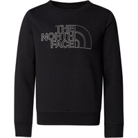 The North Face camiseta montaña manga larga niño B DREW PEAK LIGHT CREW vista detalle