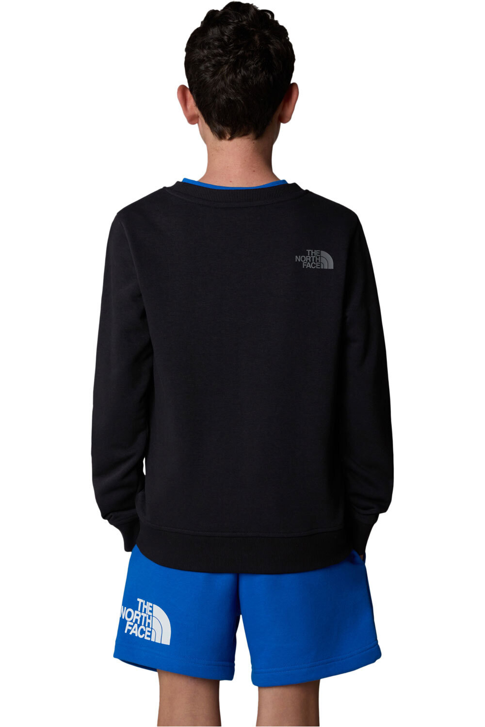 The North Face camiseta montaña manga larga niño B DREW PEAK LIGHT CREW vista trasera