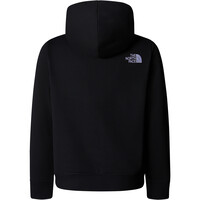 The North Face camiseta montaña manga larga niño B DREW PEAK P/O HOODIE 03