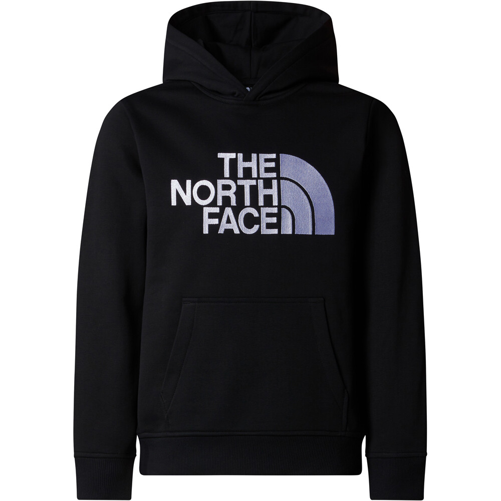 The North Face camiseta montaña manga larga niño B DREW PEAK P/O HOODIE vista detalle