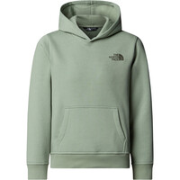 The North Face camiseta montaña manga larga niño TEEN BOX NSE REGULAR PULLOVER HOODIE vista detalle