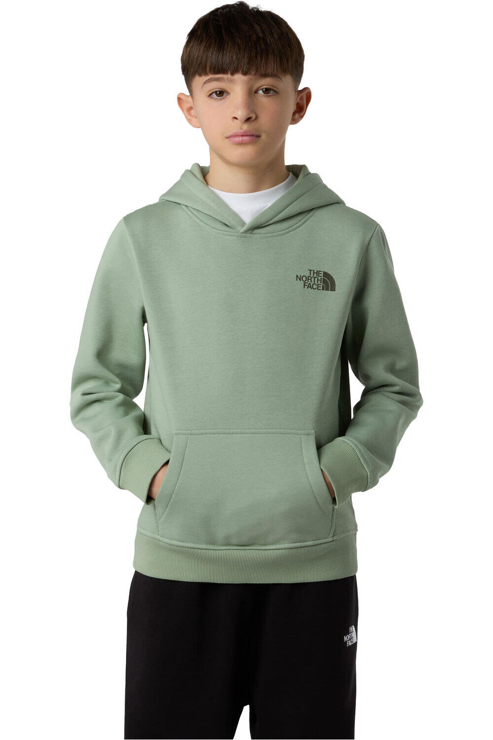 The North Face camiseta montaña manga larga niño TEEN BOX NSE REGULAR PULLOVER HOODIE vista frontal