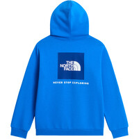 The North Face camiseta montaña manga larga niño TEEN EVOLUTION BOX NSE PULLOVER HOODIE 03