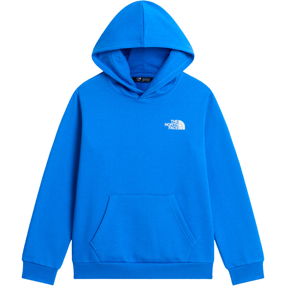 The North Face camiseta montaña manga larga niño TEEN EVOLUTION BOX NSE PULLOVER HOODIE vista detalle