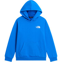 The North Face camiseta montaña manga larga niño TEEN EVOLUTION BOX NSE PULLOVER HOODIE vista detalle