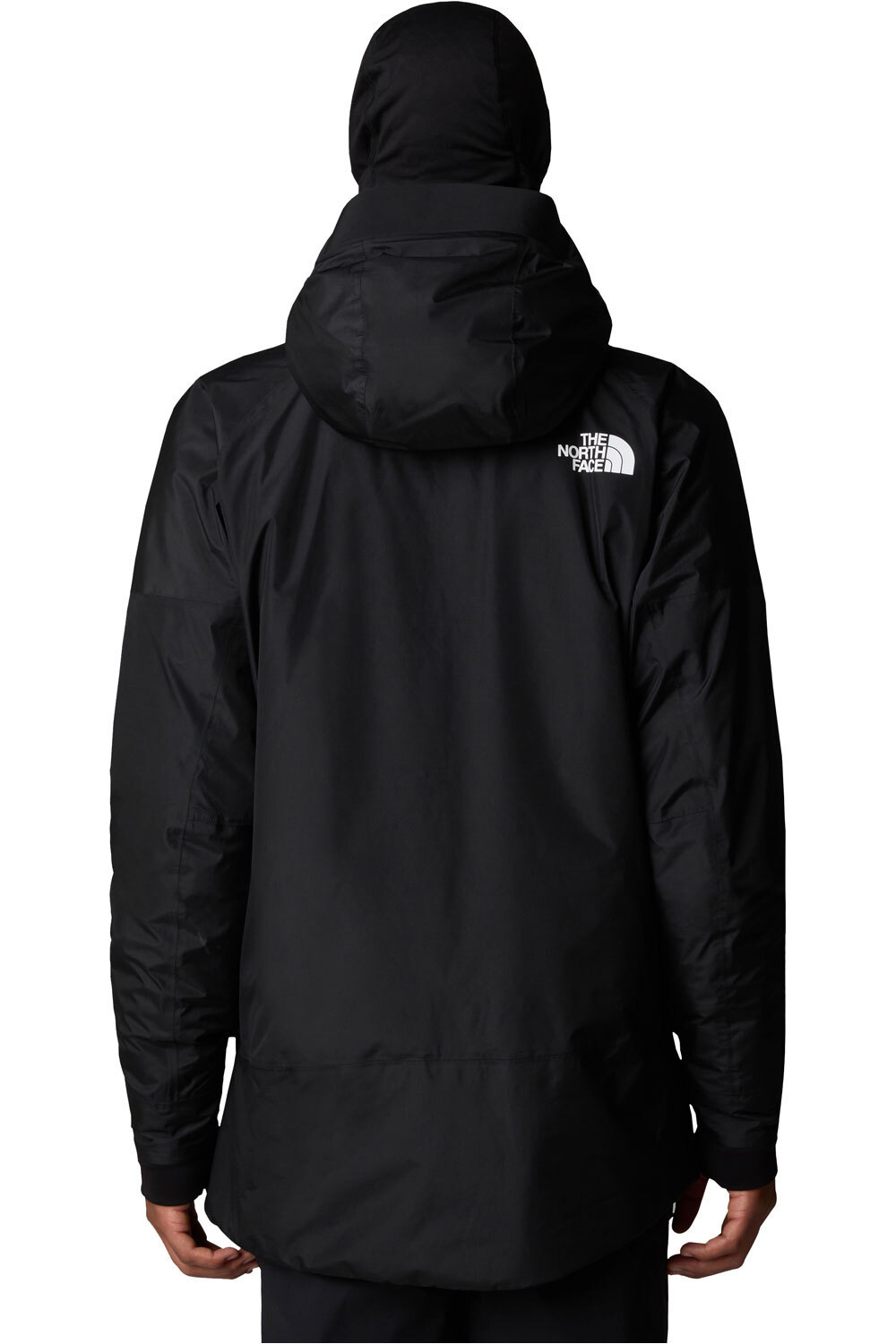 The North Face chaqueta esquí hombre M DAWNSTRIKE GTX INSULATED JACKET vista trasera