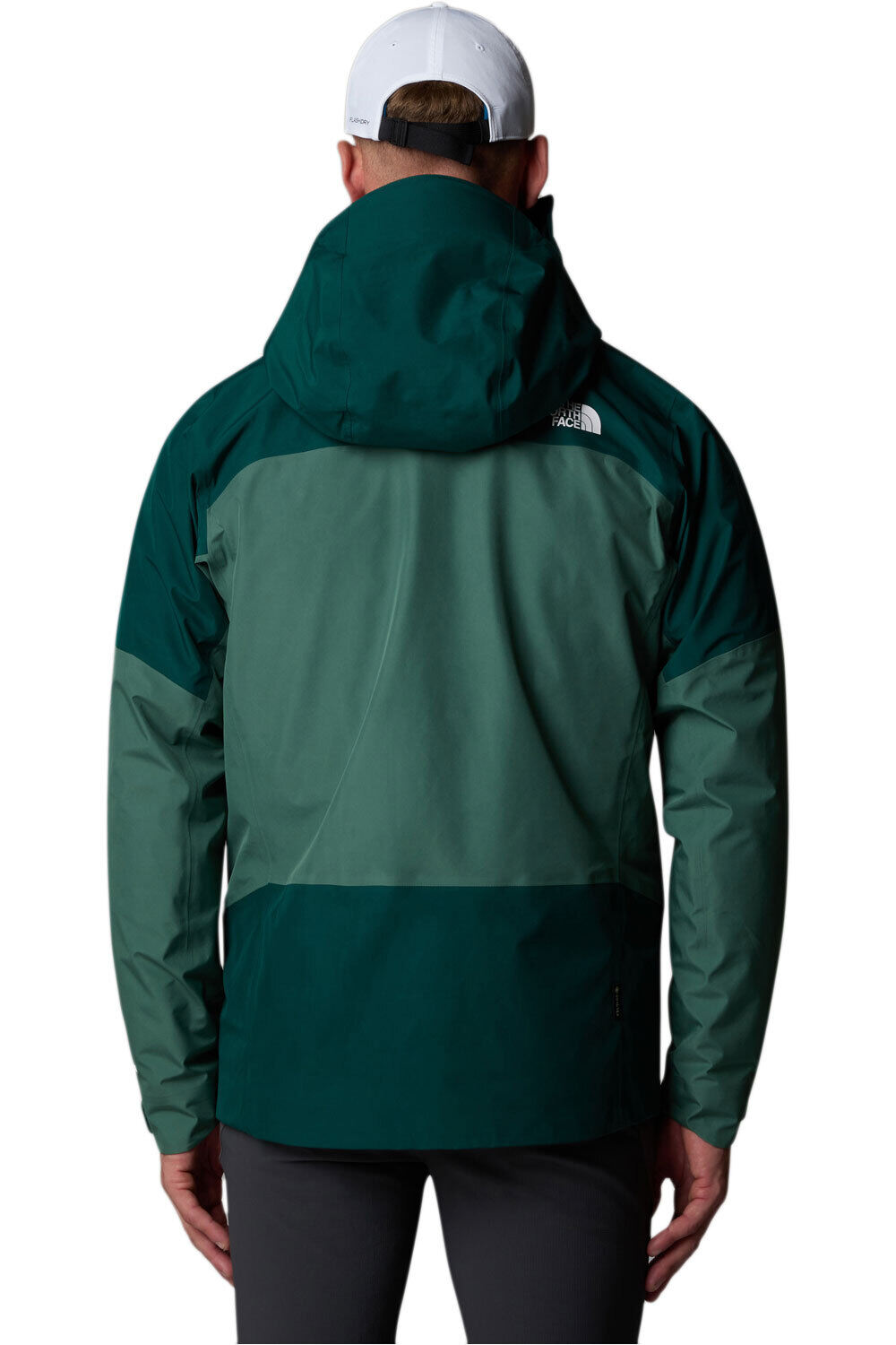 The North Face chaqueta impermeable hombre M JAZZI 3L GTX JACKET vista trasera