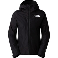 The North Face chaqueta impermeable mujer W MOUNTAIN LIGHT TRICLIMATE GTX JACKET vista trasera