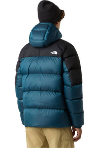 The North Face chaqueta outdoor hombre M DIABLO DOWN 2.0 HOODIE vista trasera