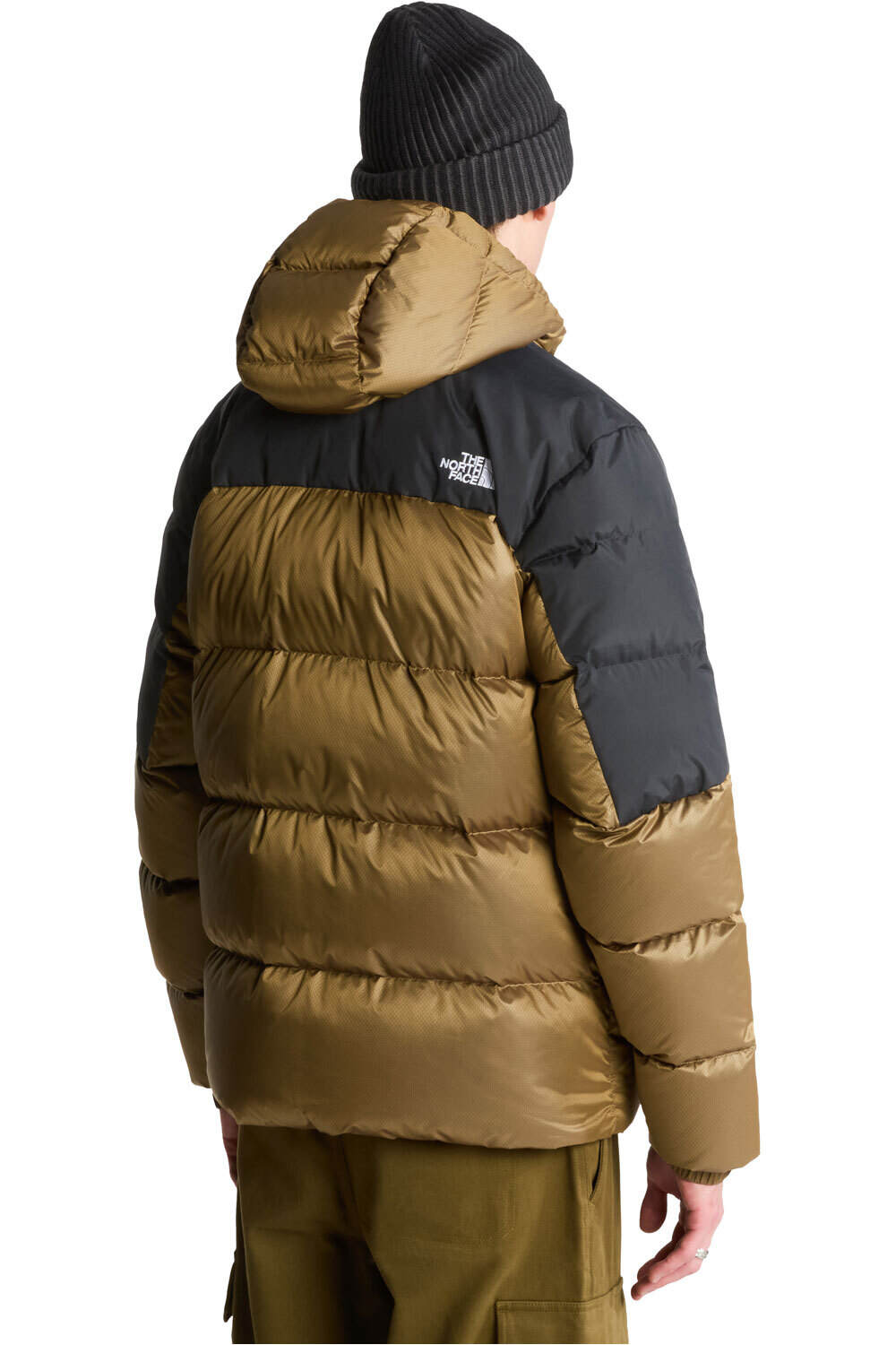 The North Face chaqueta outdoor hombre M DIABLO DOWN 2.0 HOODIE vista trasera