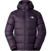 The North Face chaqueta outdoor hombre M HYDRENALITE DOWN HOODIE vista frontal