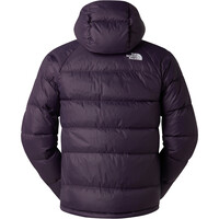 The North Face chaqueta outdoor hombre M HYDRENALITE DOWN HOODIE vista trasera