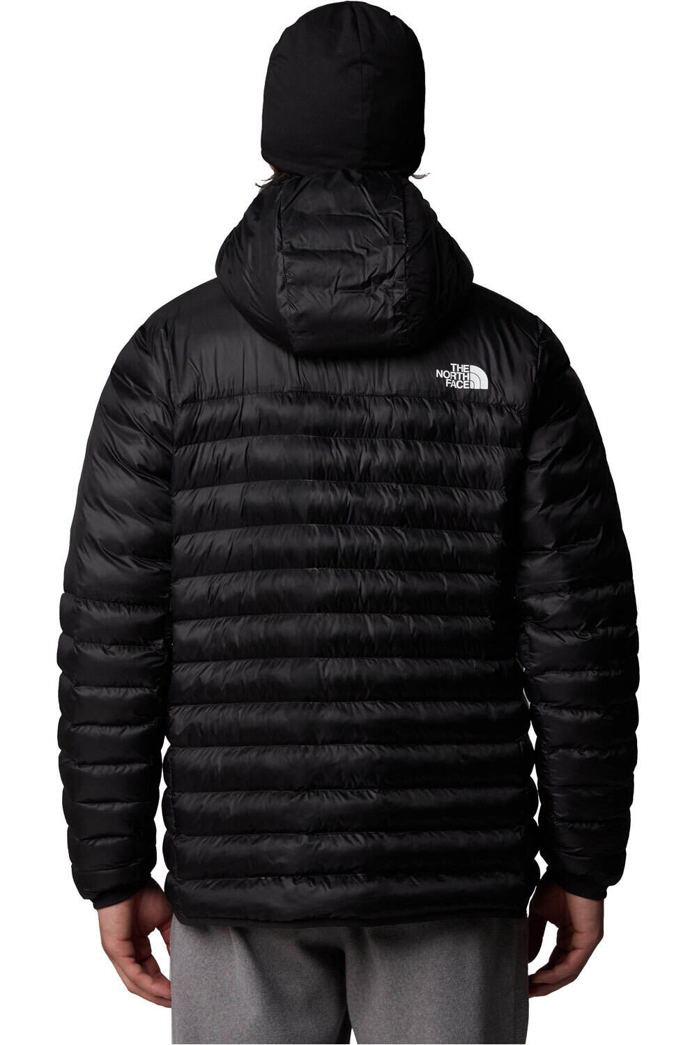 The North Face chaqueta outdoor hombre M TERRA PEAK HOODIE vista trasera