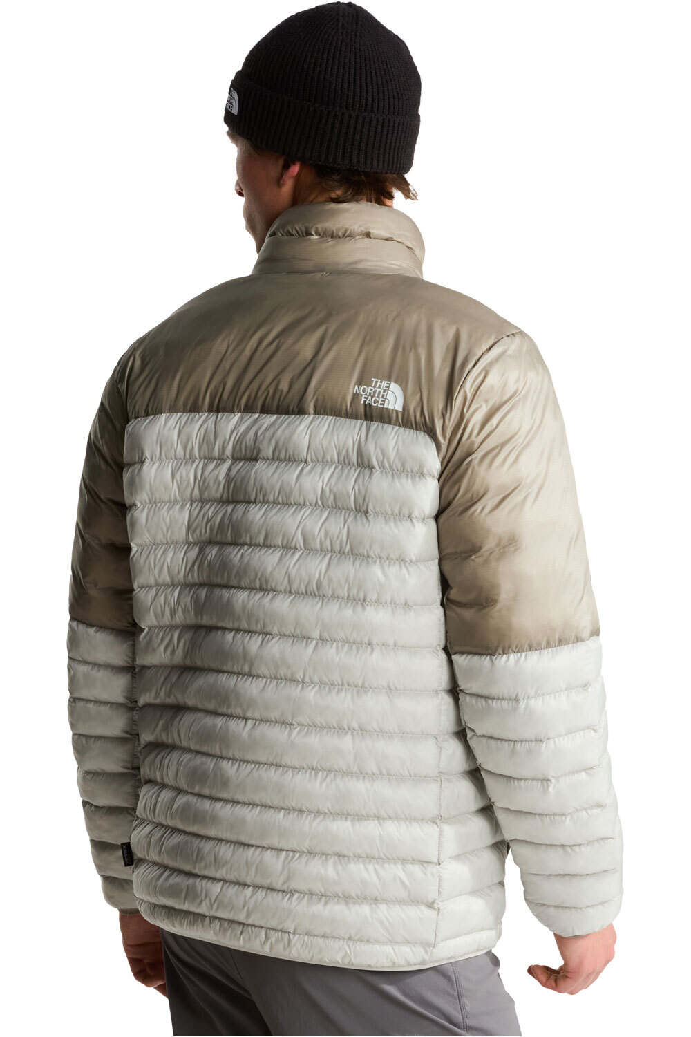 The North Face chaqueta outdoor hombre M TERRA PEAK JACKET vista trasera