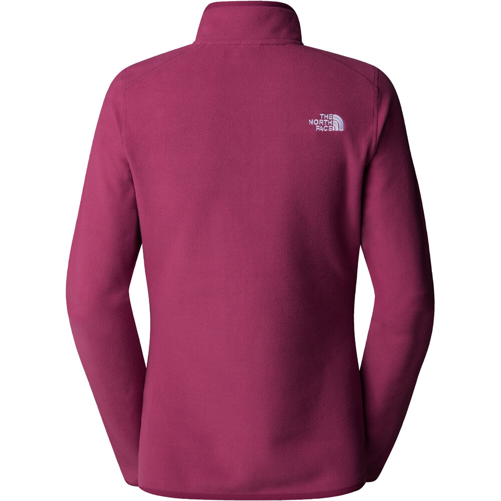 The North Face forro polar mujer W 100 GLACIER 1/4 ZIP 03