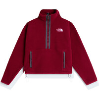 W TNF FLEESKI 1/4 ZIP PO