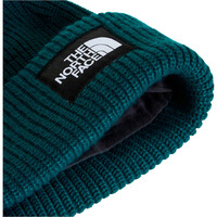 The North Face gorro esquí hombre SALTY LINED BEANIE vista detalle