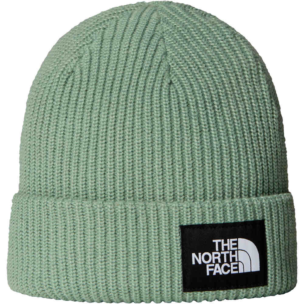 The North Face gorro esquí hombre SALTY LINED BEANIE vista frontal