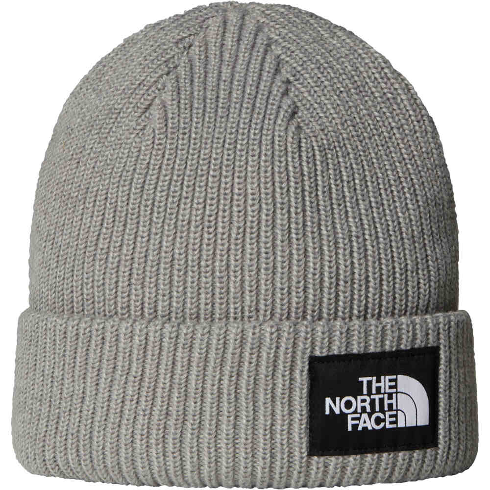 The North Face gorro esquí hombre SALTY LINED BEANIE vista frontal