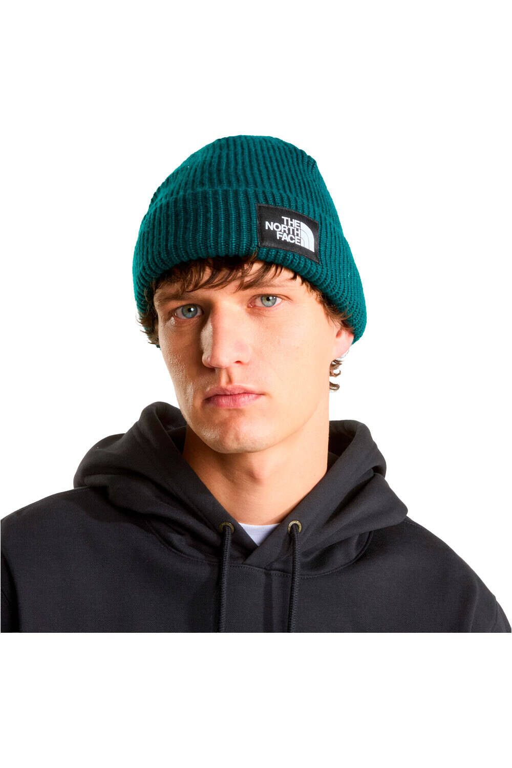 The North Face gorro esquí hombre SALTY LINED BEANIE vista frontal