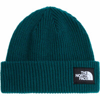 SALTY LINED BEANIE