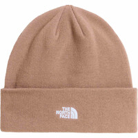 The North Face gorros montaña NORM BEANIE 01